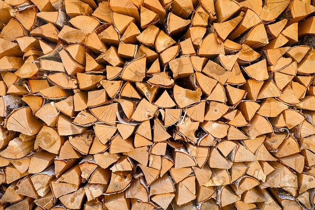 palivové dřevo